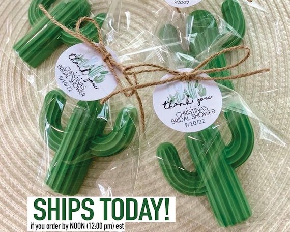 Cactus Soap Favors --- Cactus Party Favors, Fiesta Party Decor, Mexican  Birthday Decorations, Cactus Bridal Shower Bachelorette Baby Favors - Etsy  Schweiz