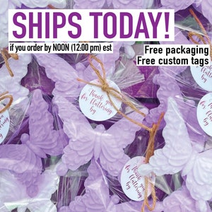 Purple Butterfly Soap Favors - Baby Shower Bridal Shower Decorations Favors For Guests Bulk, Girl Gift Birthday Quinceanera Sweet 16 Party