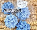 Hydrangea Soap Favors -- Bridal Shower Wedding Gift for Guests in Bulk, Something Blue Before I Do Party Ideas Bride Ceremony Flower Decor