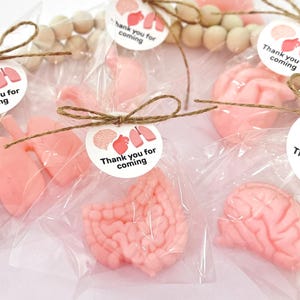Human Anatomy Soap Favors - Medical Graduation, Surgeon Doctor Party, Nurse Pharmacy Student Gift Favors