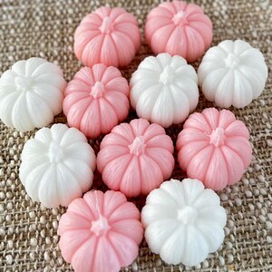 以下が含まれることがあります： 10個の小さな装飾用カボチャの集まり。5つは白で、5つはピンクです。カボチャは茶色の麻布の背景に円形に配置されています。