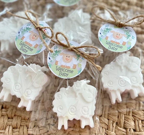 Soap Favors Twin Baby Shower Favor Ideas Boy Baby Shower Goodie