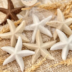 May include: A collection of five starfish in various shades of beige and white, arranged on a brown burlap surface. The starfish are a popular nautical decor item.