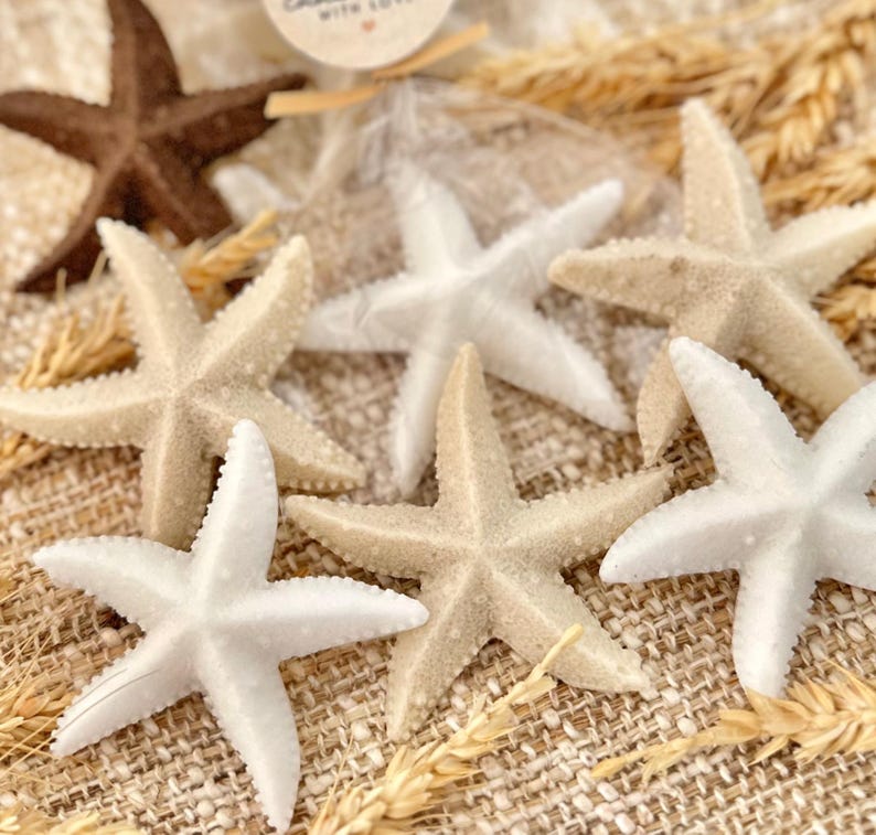 May include: A collection of five starfish in various shades of beige and white, arranged on a brown burlap surface. The starfish are a popular nautical decor item.