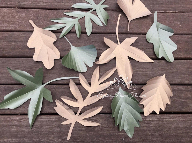 Autumn Spring Paper Leaves Templates Set1 Tutorial Svg Pdf Cricut Silhouette Cameo Download Paper Flower Leaves Pattern Paper Flower Leaf