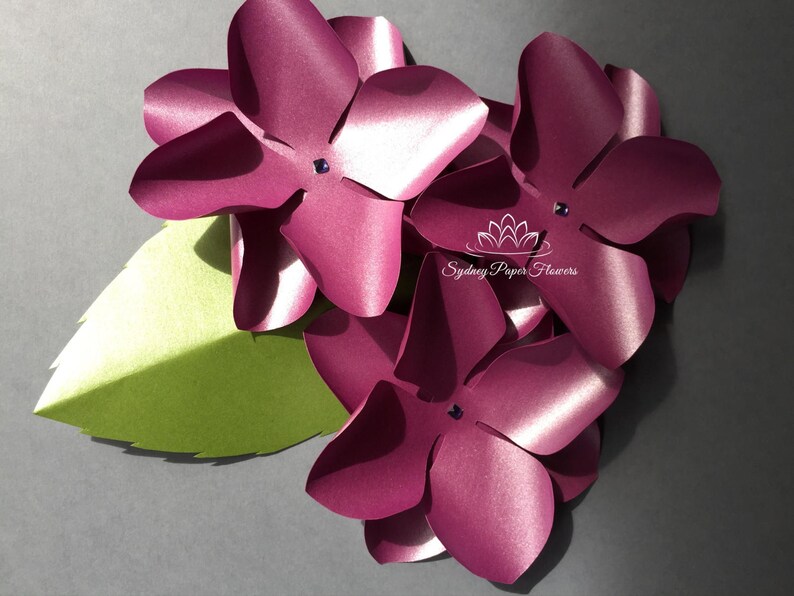 Hydrangea Tipsy Paper Flower Template Video Tutorial Svg Pdf Silhouette Cameo Cricut Paper Flower Paper Flower Pattern Paper Flower Wall