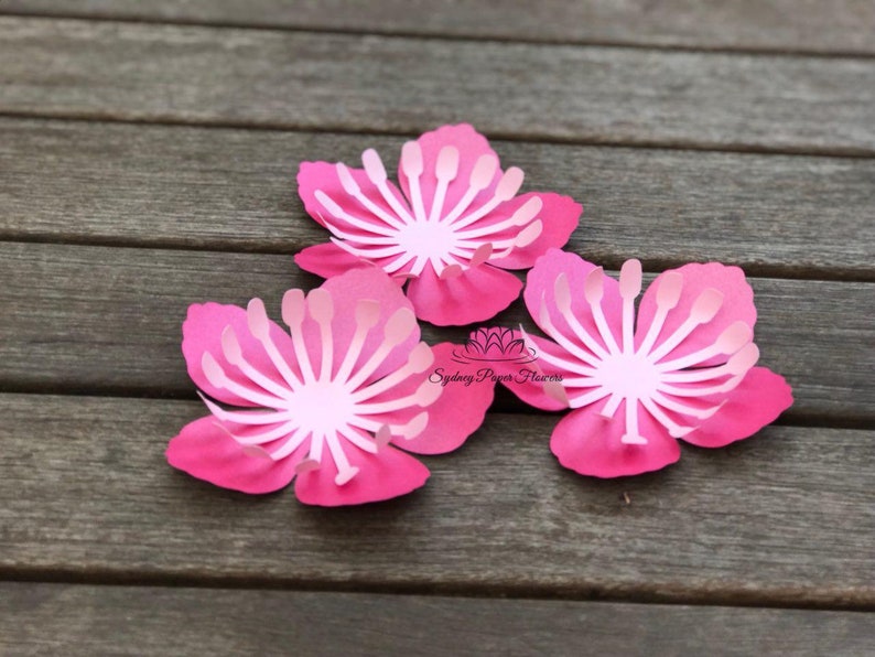 Cherry Blossom Paper Flower Template Tutorial Svg Pdf Cricut Silhouette Cameo Diy Paper Flower Pattern Paper Flower Centre Download