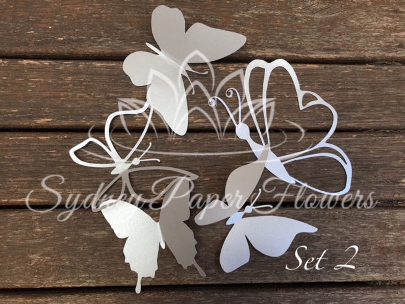 Download Paper Butterflies Set 2paper Butterfly Patternpdf Svg Paper Butterflydiy Paper Butterflypaper Butterfly Download Cameo Cricut Craft Supplies Tools Kids Crafts Efp Osteology Org