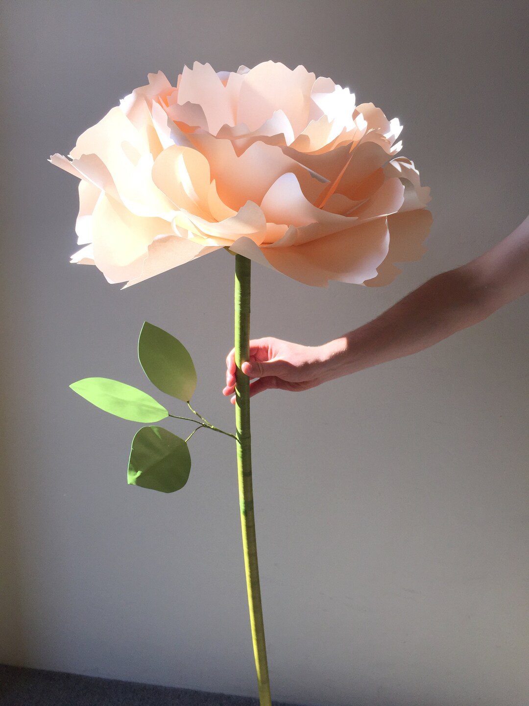 3 Freestanding Paper Flowers BULK Buy set of 3 Rose, Peony, Poppy on