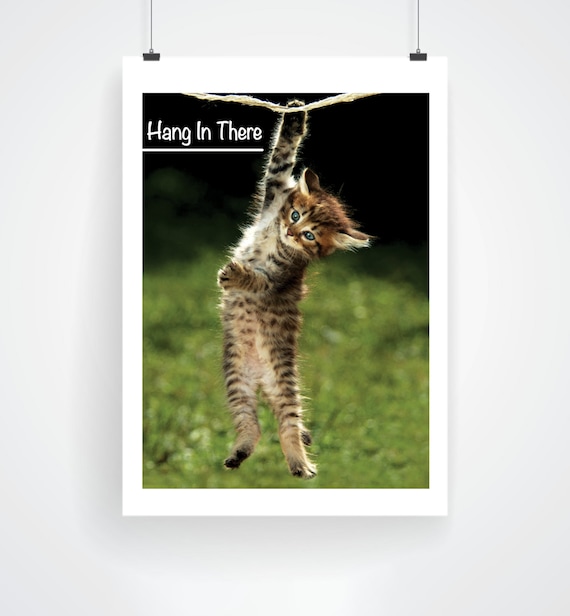 Hang In There Cat Poster The Office | Best Cat Wallpaper