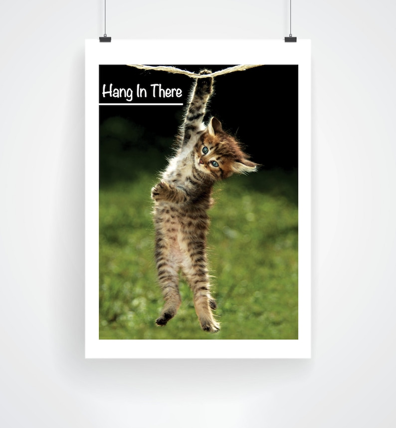 Hang in There Kitten Poster The Office Hang in There Print Michael Scott The Office Art Cat Print Office Poster Classroom Poster Grey Tabby