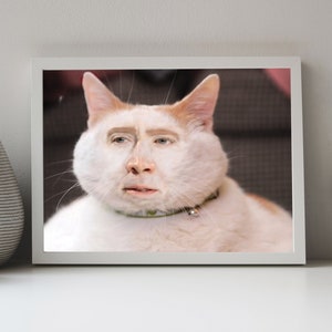 Nic Cage Cat Poster Nic Cage Rabbit Poster Nic Cage Meme Nicolas Cage Art Nic Cage Cats Meme Art Custom Nic Cage Art Framed image 9