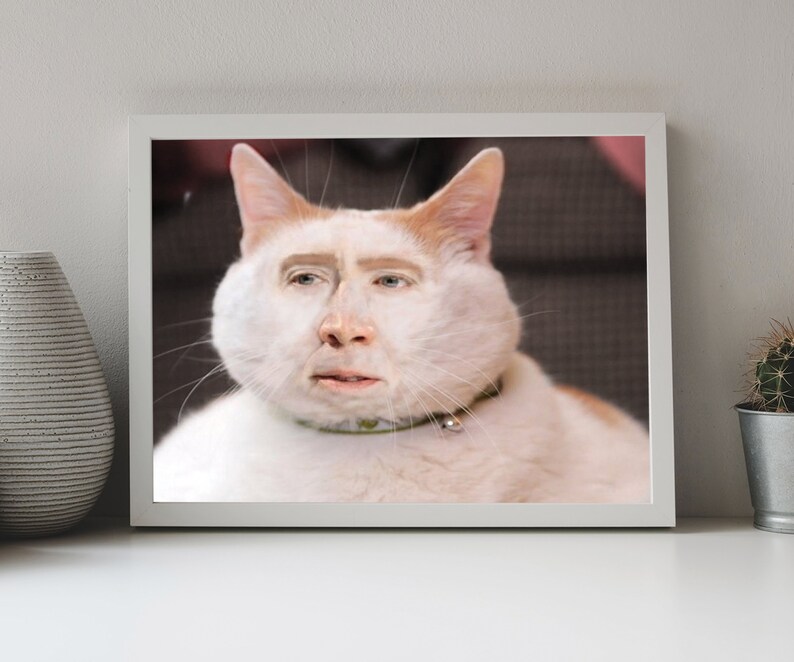 Nic Cage Cat Poster Nic Cage Rabbit Poster Nic Cage Meme Nicolas Cage Art Nic Cage Cats Meme Art Custom Nic Cage Art Framed image 9