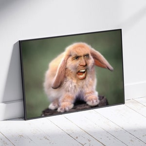 Nic Cage Cat Poster Nic Cage Rabbit Poster Nic Cage Meme Nicolas Cage Art Nic Cage Cats Meme Art Custom Nic Cage Art Framed image 4
