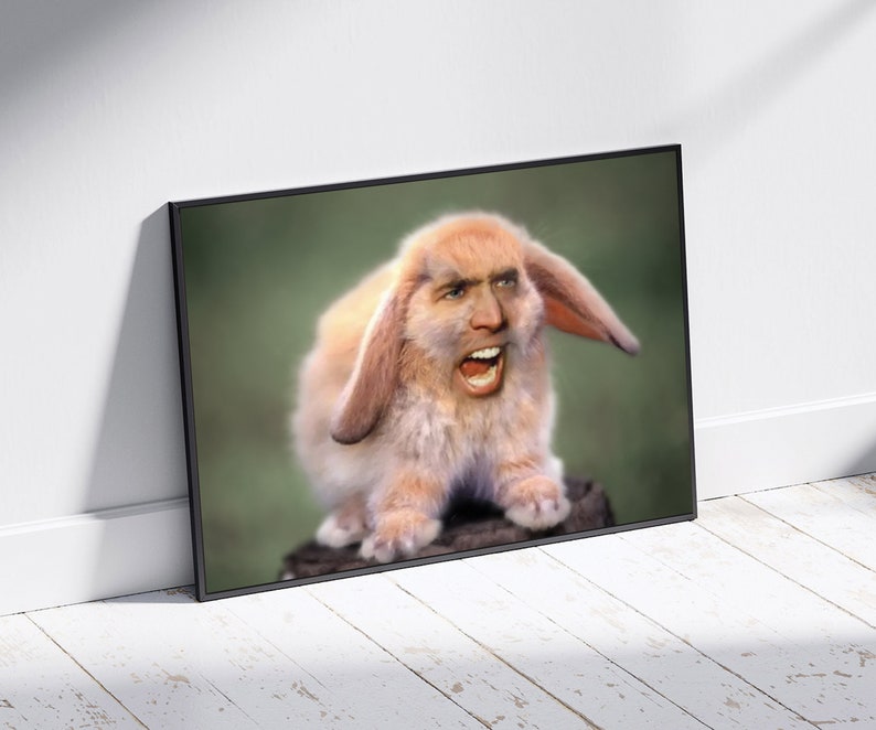 Nic Cage Cat Poster Nic Cage Rabbit Poster Nic Cage Meme Nicolas Cage Art Nic Cage Cats Meme Art Custom Nic Cage Art Framed image 4