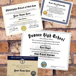 Donkey Brains Certificate - Bird Law Diploma - the Office Scotts Tots