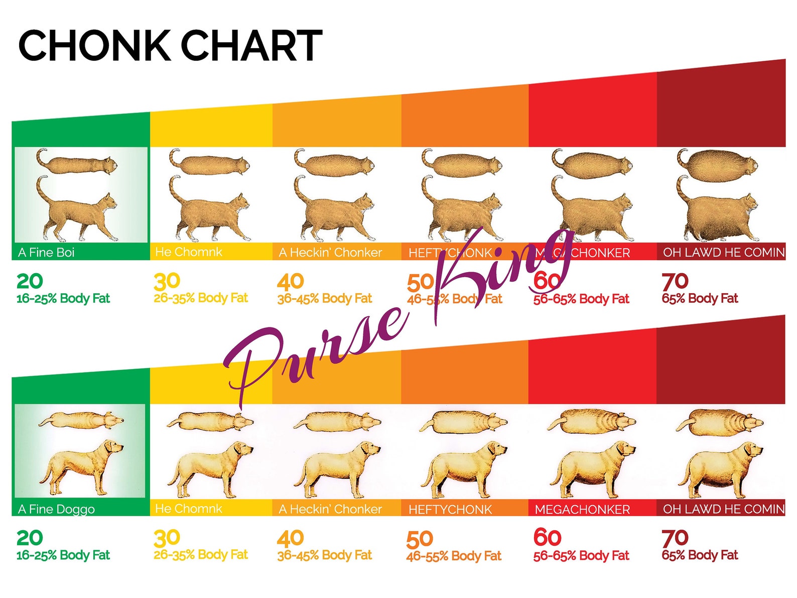 CHONK Chart Chonk Chart Print Fine Boi Good Doggo Cat 4 - изображение.