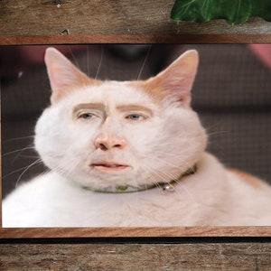 Nic Cage Cat Poster Nic Cage Rabbit Poster Nic Cage Meme Nicolas Cage Art Nic Cage Cats Meme Art Custom Nic Cage Art Framed image 7