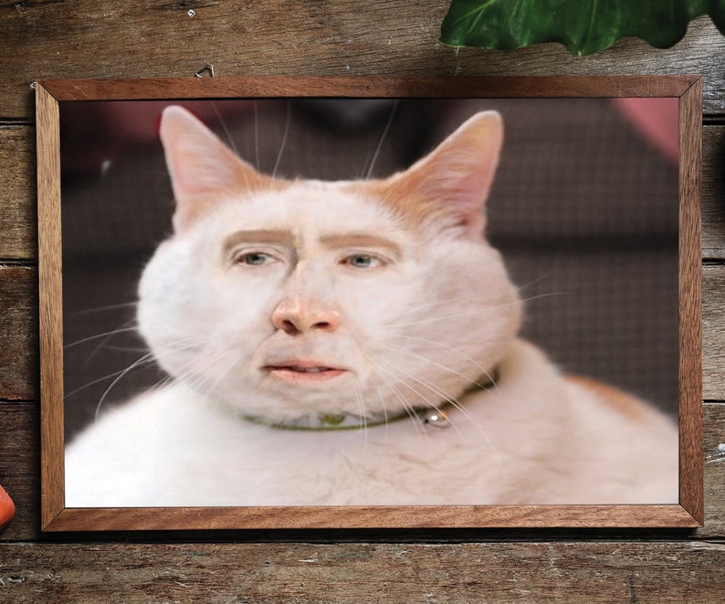 Nic Cage Cat Poster Nic Cage Rabbit Poster Nic Cage Meme Nicolas Cage Art Nic Cage Cats Meme Art Custom Nic Cage Art Framed image 7