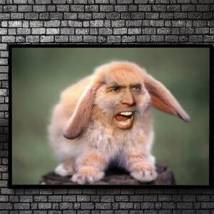 Nic Cage Cat Poster Nic Cage Rabbit Poster Nic Cage Meme Nicolas Cage Art Nic Cage Cats Meme Art Custom Nic Cage Art Framed image 6