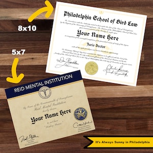 Donkey Brains Certificate - Bird Law Diploma - the Office Scotts Tots