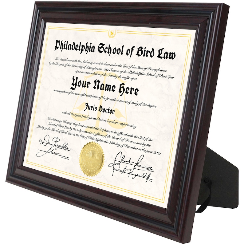 Bird Law Always Sunny Always Sunny Custom Diploma IASIP Etsy