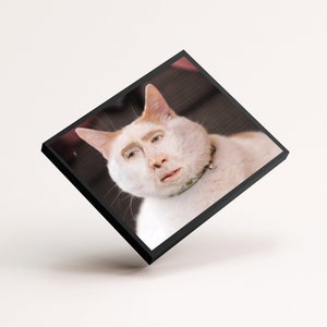 Nic Cage Cat Poster Nic Cage Rabbit Poster Nic Cage Meme Nicolas Cage Art Nic Cage Cats Meme Art Custom Nic Cage Art Framed image 5