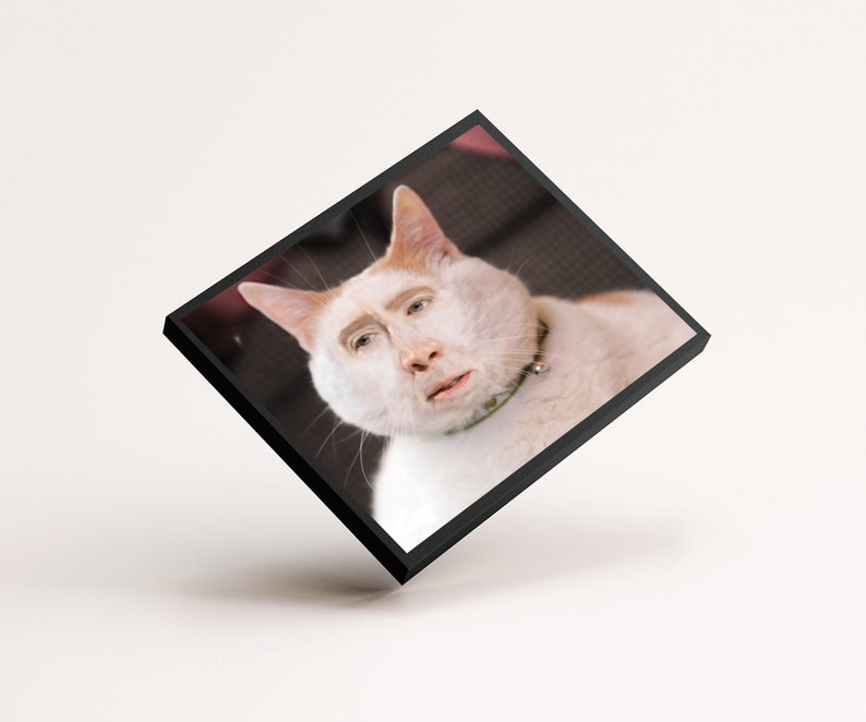 Nic Cage Cat Poster Nic Cage Rabbit Poster Nic Cage Meme Nicolas Cage Art Nic Cage Cats Meme Art Custom Nic Cage Art Framed image 5