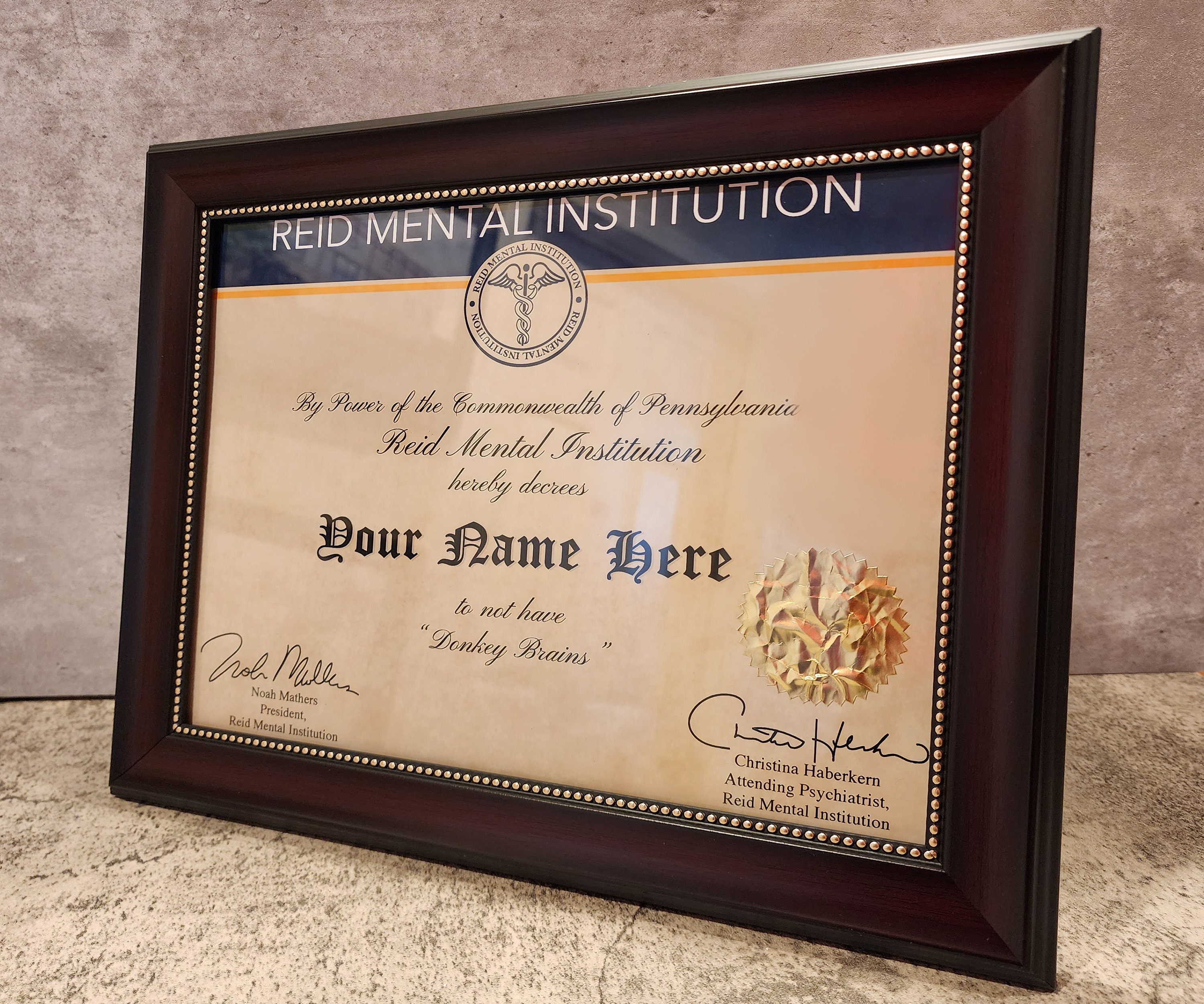 Donkey Brians Certificate - Custom "Donkey Brains" Certificate - Its Always Sunny - "Not Donkey Brained" Framed - Reid Mental Institution