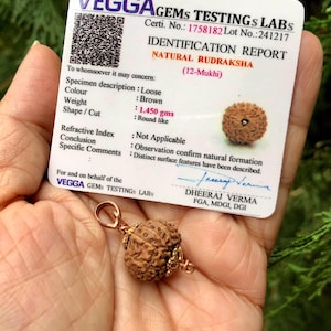 May include: A brown, round, textured 12-Mukhi natural Rudraksha bead pendant with gold-toned metal caps and a bail. The bead is displayed with a white Vegga Gems Testing Labs identification report card stating a weight of 1.450 grams.