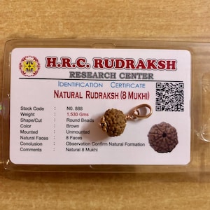 Pode incluir: Uma conta marrom de Natural Rudraksh (8 Mukhi) com um laço de metal dourado. A imagem inclui um certificado do H.R.C. Rudraksh Research Center, com detalhes como o peso (1,530 g) e a forma (contas redondas).