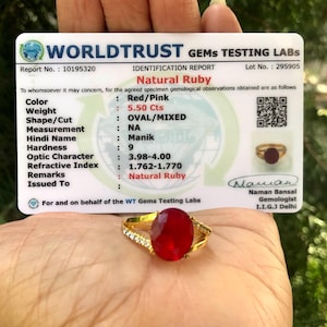 May include: A gold ring with a large, oval-cut, red ruby gemstone. The ring is held in front of a white card with text that reads "Natural Ruby" and gemological details. The ruby weighs 5.50 carats.