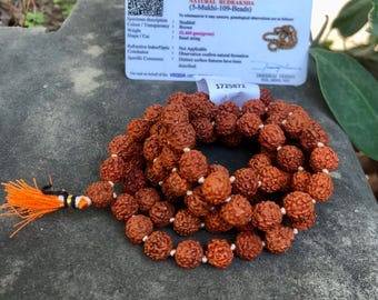 Originale Rudraksha Mala con certificato da indossare e Japa Mala (5 Mukhi Mala, 108 perline Mala Rosary Garland), Medium, Perlina Rudraksha, Nessuna pietra preziosa