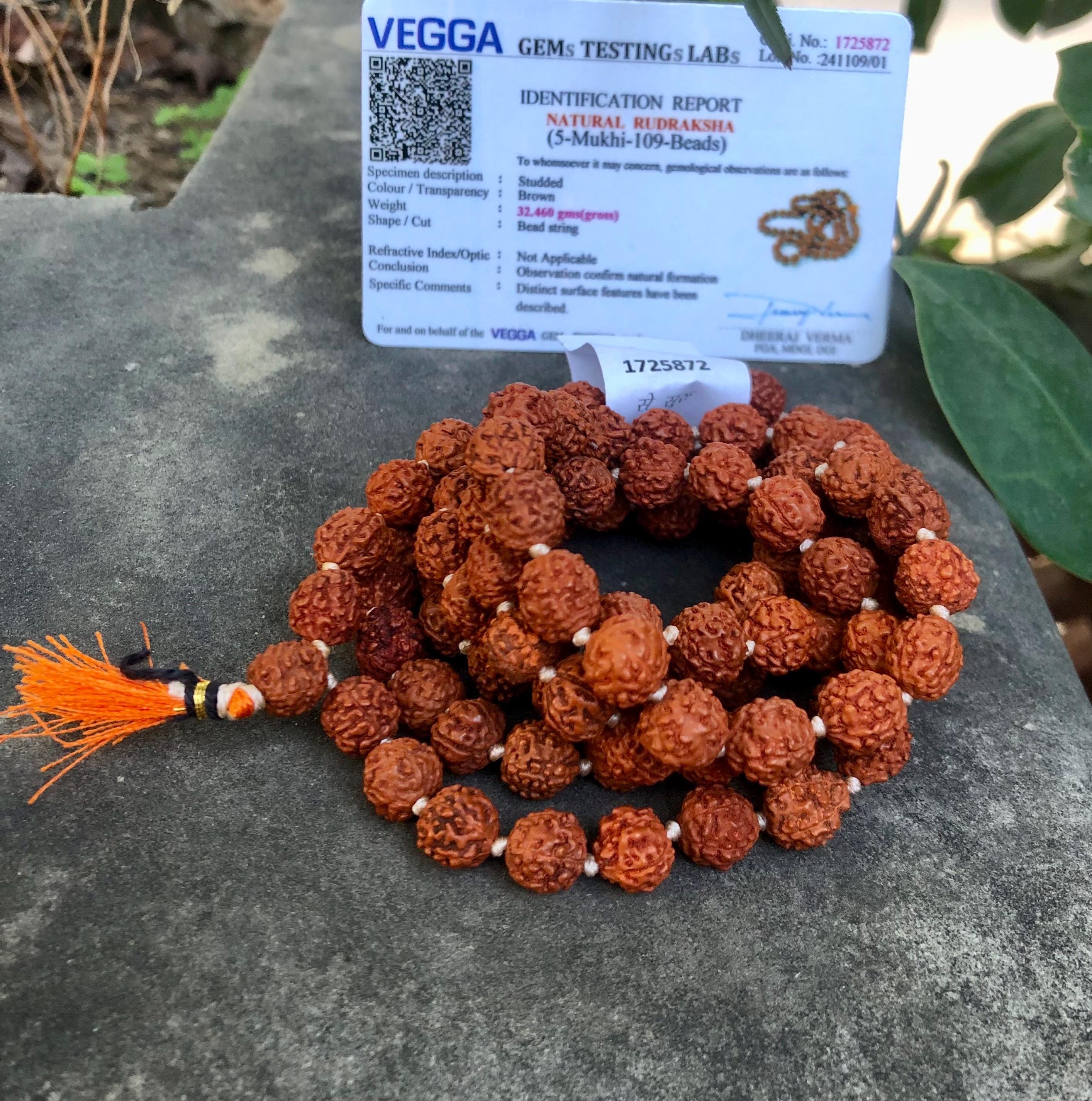 Rudraksha 5 Mukhi Mala – 108 Perlen, 6 Mm, Energetisiert, Für Yoga & Meditation