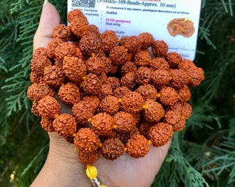 Naturlig Rudraksha Mala, 5 Mukhi, Handknuten Shiva Rosenkrans