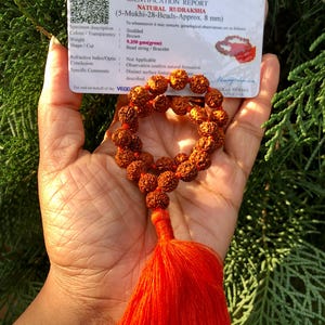 Puede incluir: Un mala o cuentas de oración de Rudraksha marrón con 28 cuentas, un borla y un certificado de autenticidad. El certificado indica que las cuentas son 5-Mukhi, de aproximadamente 8 mm de tamaño y pesan 9,350 gramos. El certificado es de Vegga Gems Testing Labs.