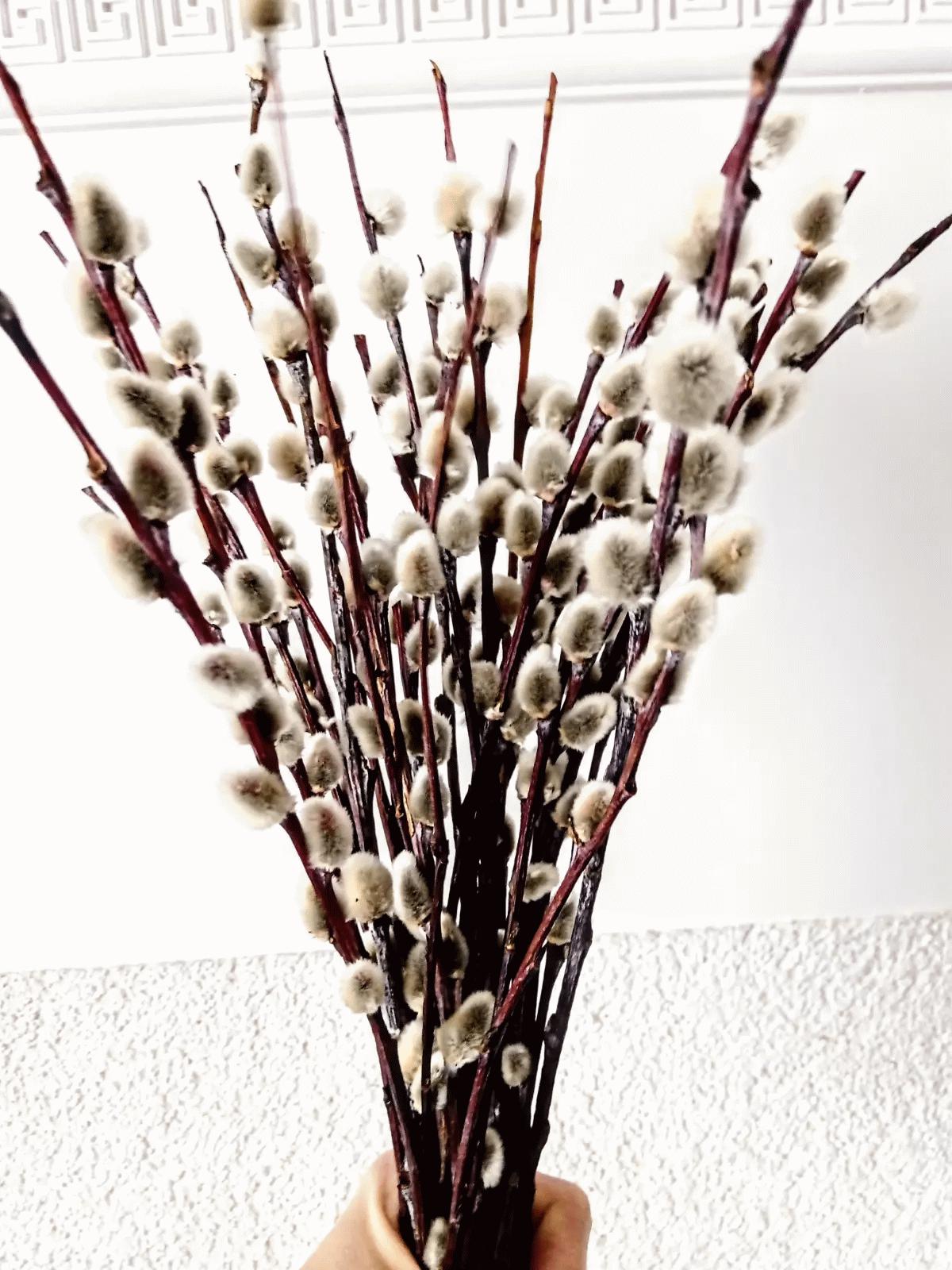 NASSMOSSE Branches de Saule de la Chatte pour vases, 14pcs / Bunch 33 Pouces Longueur Tige Long, réutilisables artificiels avec des Fleurs Blanches pour la Table du Bureau Mariage