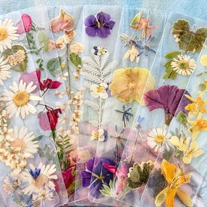 10x Segnalibri trasparenti laminati con fiori diversi Segnalibro con fiori pressati veri Accessorio per l'arte floreale Libro per lettori Insegnanti Idea regalo di Natale