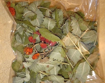 Rowan tree leaves and rowan berries dried Protective Pagan Celtic rituals home protection craft Rustic home decor Witchcraft Talisman Amulet