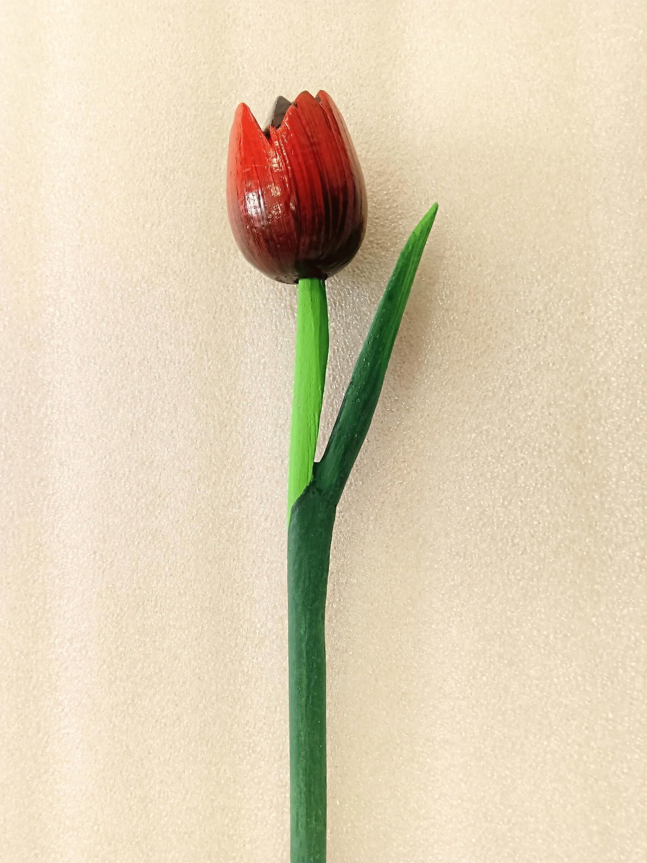 MomoMoments - Mazzo di tulipani in legno di alta qualità per la persona amata, 9 tulipani in legno dipinti a mano, 21 cm di altezza, decorazione fiori artificiali, prodotto in Olanda