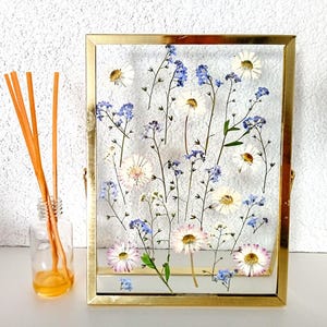 以下が含まれることがあります： 金色のフレームに入った押し花の絵。花は白と青で、ランダムなパターンで配置されています。フレームは白い表面の上に置かれています。
