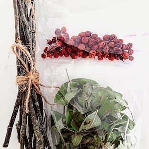 Rowan tree kit Rowan tree branches leaves and rowan berries Protective Pagan Celtic rituals home protection craft  Witchcraft Talisman Gift