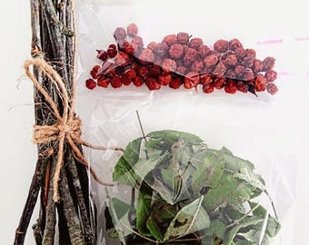 Rowan tree kit Rowan tree branches leaves and rowan berries Protective Pagan Celtic rituals home protection craft  Witchcraft Talisman Gift