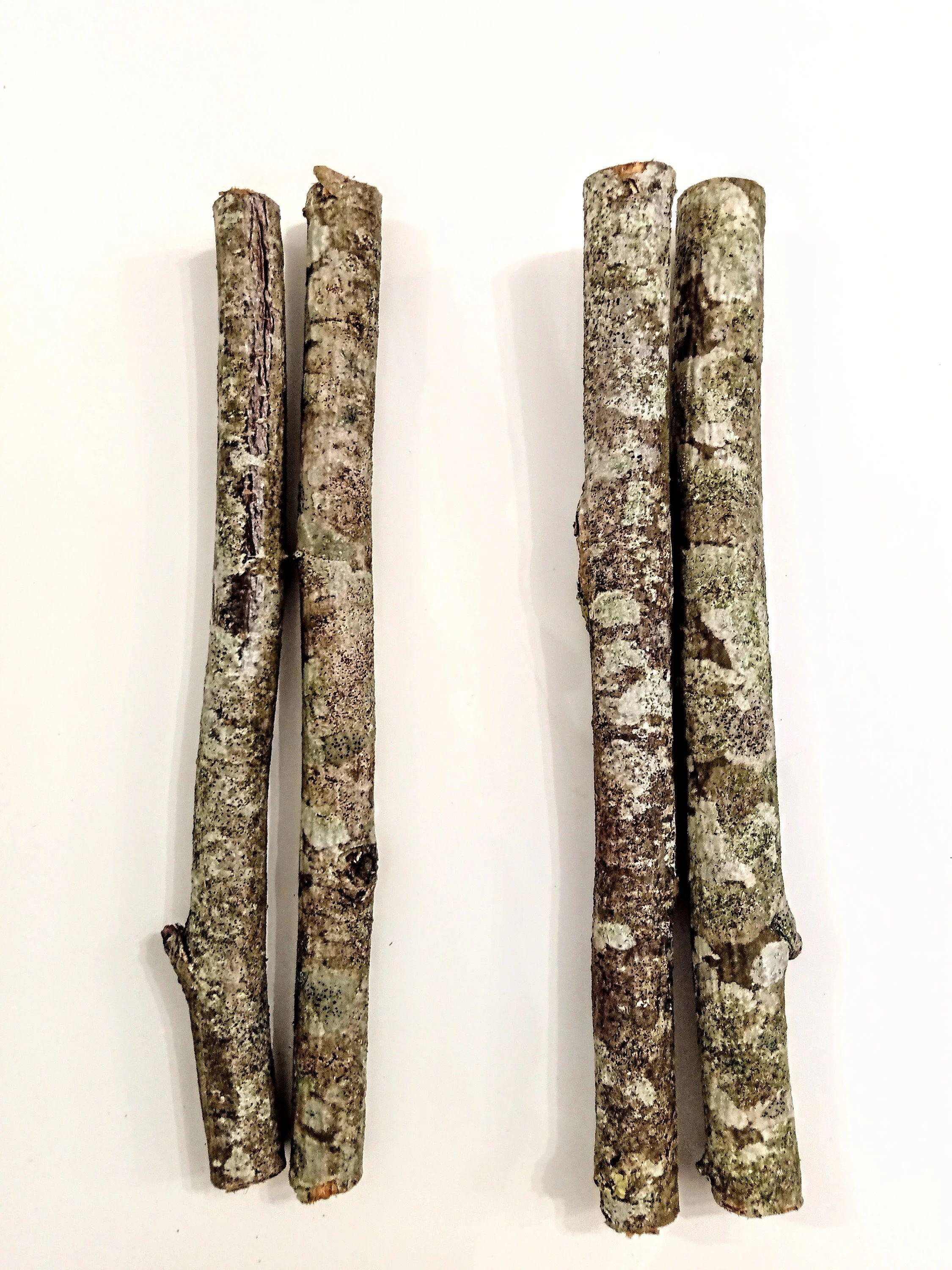 RowLow Mountion Works タビチビトート　Ash Snowrator - New Sidewalk Equipment - Truland Equipment