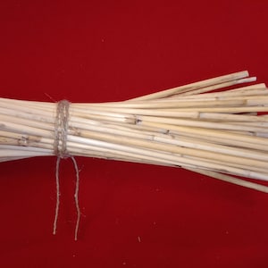 Puede incluir: Un manojo de cañas naturales, de color marrón claro y secas, atadas con un cordel. Las cañas están dispuestas en forma de abanico y están sobre una superficie roja.