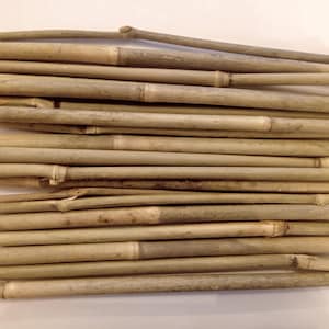 Natural River Cane Bamboo Dried Sticks 7.5&#39;&#39; 20cm Decorative Home Dried Reed Rustic decor Garden Stakes DIY Cane Real Eco Zero Waste Organic