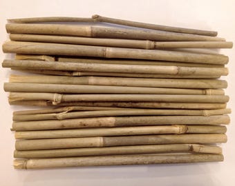 Natuurlijk rivierriet gedroogde bamboestokken 7,5'' 20 cm decoratief huis gedroogd riet rustiek decor tuin stokken doe-het-zelf riet echt eco nul afval organisch