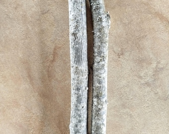 2 palos de madera de álamo temblón de 11'', ramas de madera de álamo temblón natural seca, diámetro 0,8''