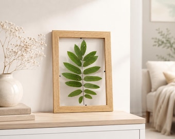 Pressed Rowan leaf in Frame Talisman Amulet Dried tree Mountain Ash Pagan Celtic rituals Witchcraft Altar Home protection Gift idea Birthday