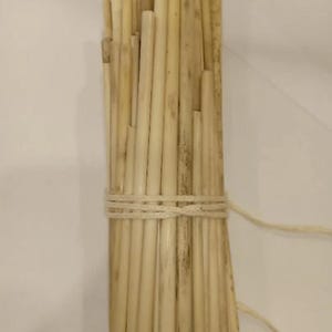 May include: A bundle of dried, light brown reeds tied together with a white string. The reeds are about 10 inches long and are arranged in a cylindrical shape.